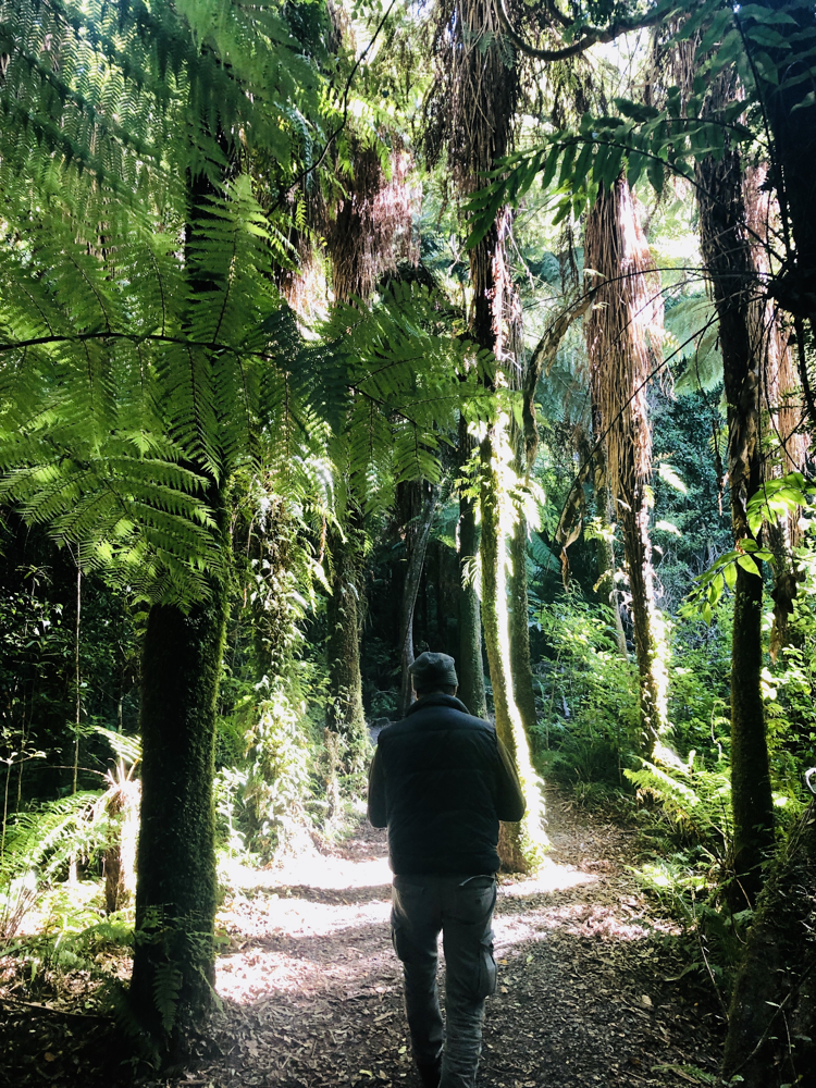 REGIONALNI PARK KAITOKE