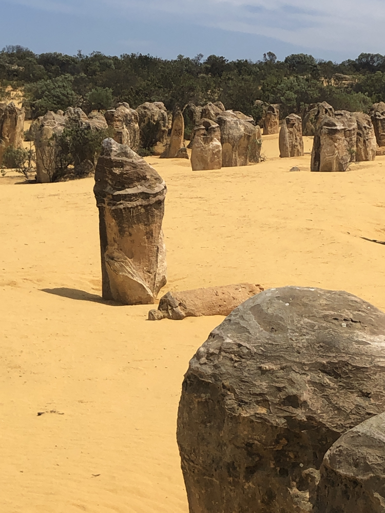 Pinnacles 3