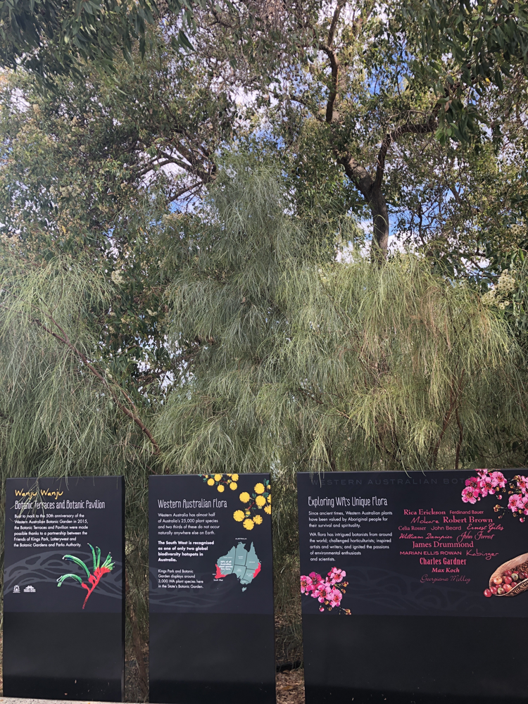 Kings Park