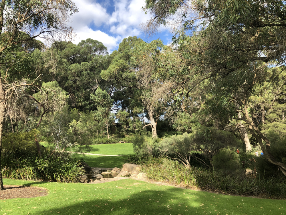 Kings Park 3