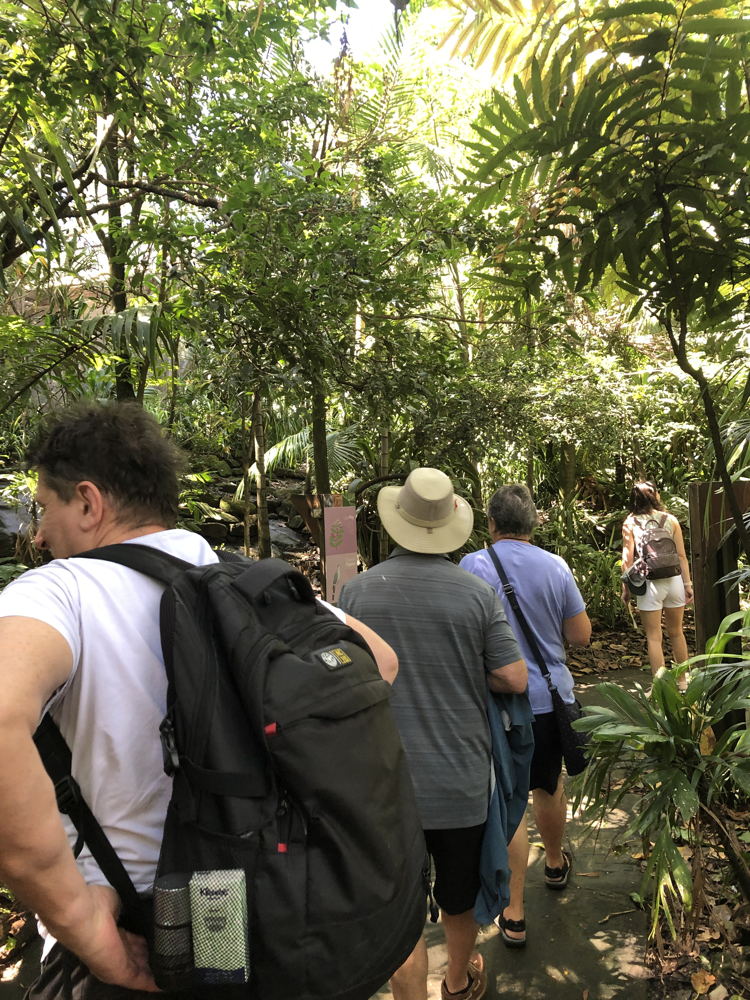 TANGAROO ZOO