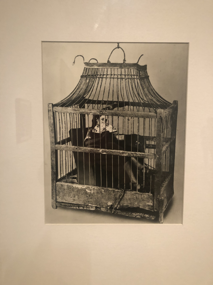 Malba i Malba Puertos - Muzej latinoameričke umjetnosti