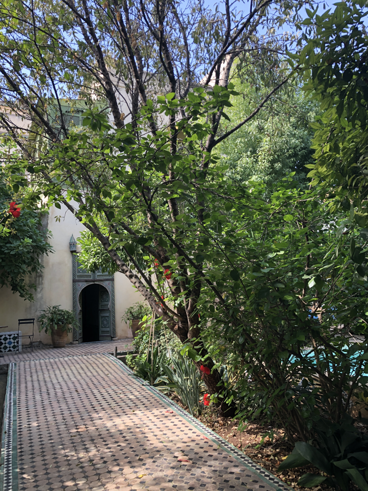 FEZ MAROKO  Mediteranski_vrtovi_kuca_izvan_medine_u_Fezu