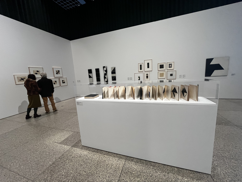 LYGIA CLARK - RETROSPEKTIVNA IZLOŽBA BRAZILSKE UMJETNICE U NEUE NATIONALGALERIE U BERLINU