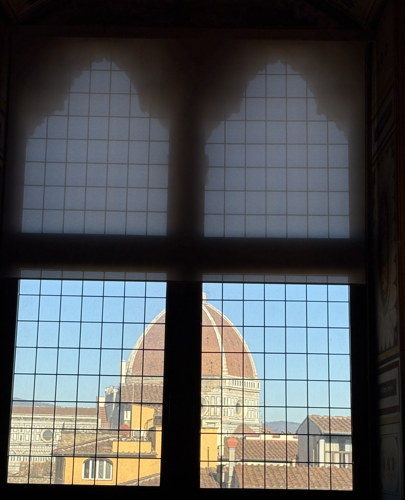SANDRA USKOKOVIĆ Pogled_iz_palazzo_Vecchio_na_katedralu_u_Firenci