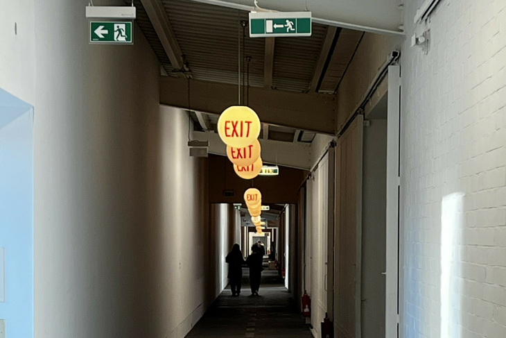  Instalacija Richarda Artschwagera (Foto Sandra USKOKOVIĆ)