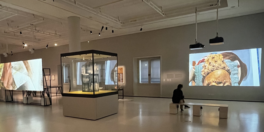 (Foto Sandra USKOKOVIĆ)