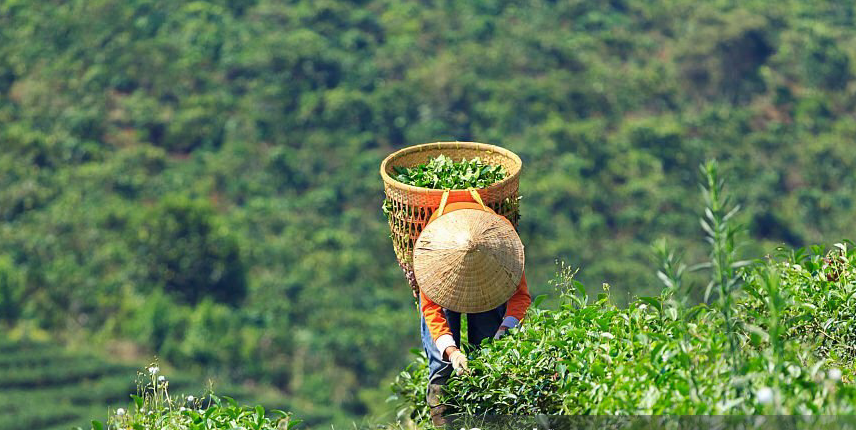 foto: iStock foto: iStock