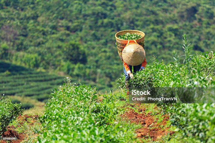 foto: iStock