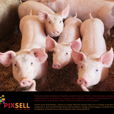 (Foto PIXSELL)